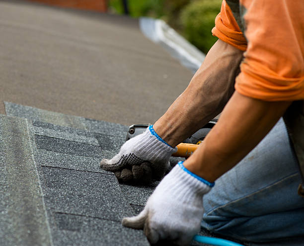 Best Roofing Contractor Near Me  in University, MS